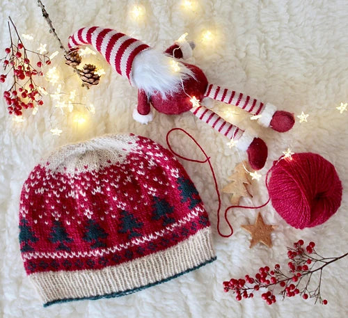 CHRISTMAS HOLIDAY BEANIE